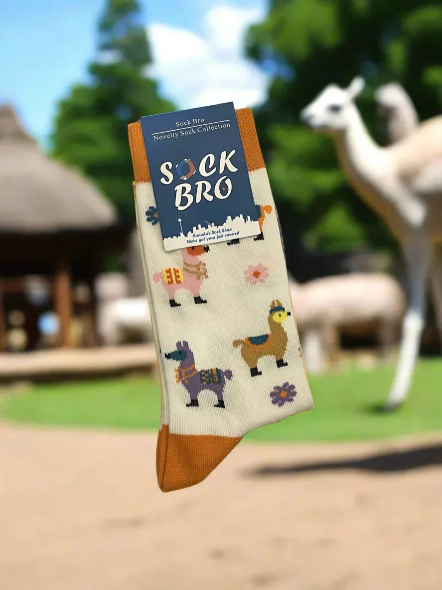 White Colourful Llama Socks - Sock Bro 